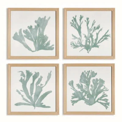 Napa Home & Garden Coral Silhouettes In Soft Green Set Of 4 In Green