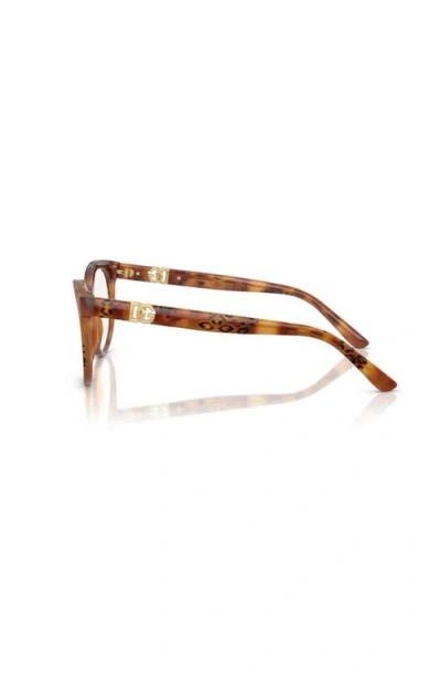 Dolce & Gabbana Dolce&gabbana 52mm Phantos Optical Glasses In Brown