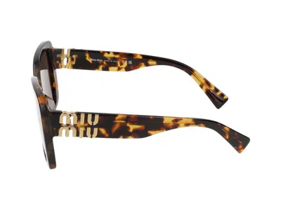 Miu Miu Sunglasses In Brown