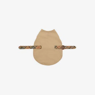 Burberry Gabardine Dog Coat