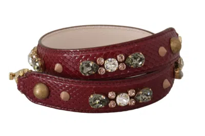 Dolce & Gabbana Elegant Python Leather Bag Strap In Women's Bordeaux In Burgundy