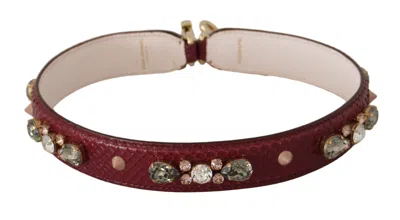 Dolce & Gabbana Elegant Python Leather Bag Strap In Women's Bordeaux In Burgundy