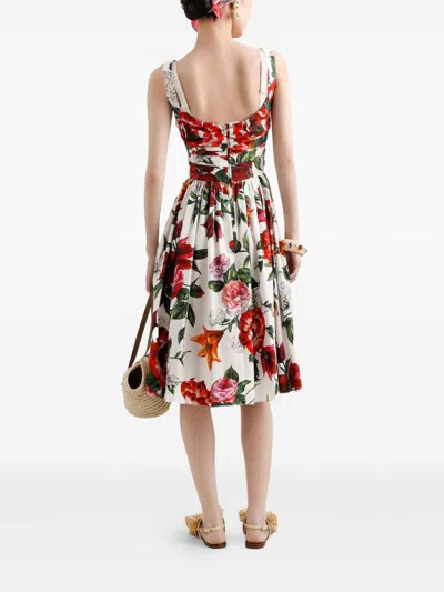 Dolce & Gabbana White Anemoni Print Cotton Midi Dress In Multi