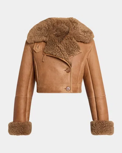 Chloé Lamb Shearling Crop Moto Jacket In Brown