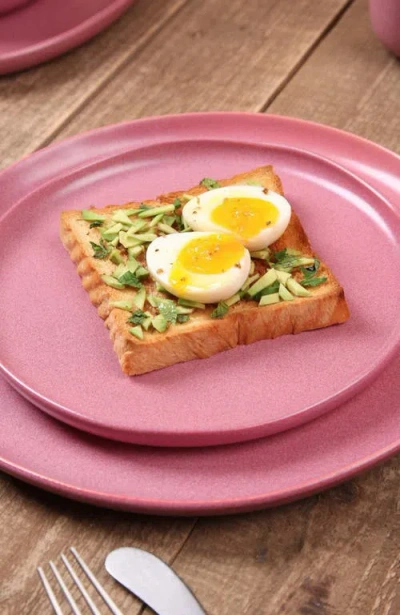 Stone Lain Tom Stoneware 4-piece Dinner Plate Set In Pink