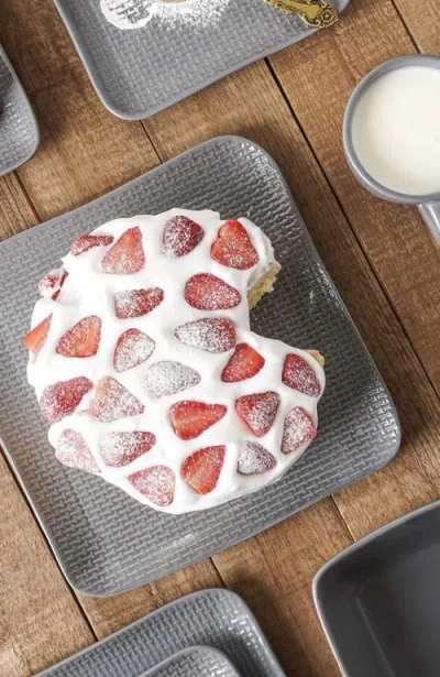 Stone Lain Olivia Stoneware 4-piece Dinner Plate Set In Gray