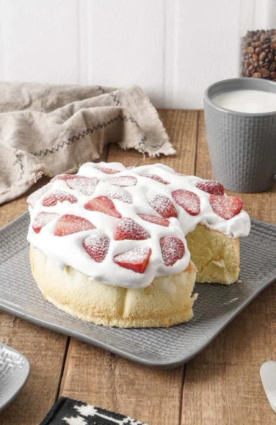 Stone Lain Olivia Stoneware 4-piece Dinner Plate Set In Gray