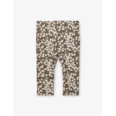 Trotters Stretch Cotton Printed Leggings In Brown