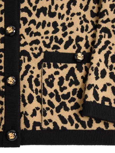 Valentino Wool Leopard Print Cardigan In Brown