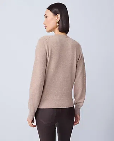 Ann Taylor Cashmere V-neck Sweater In Neutral