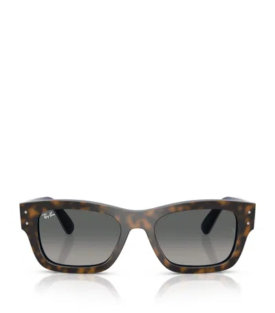 Ray Ban Acetate Joseph Sunglasses In Brown