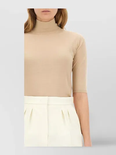 Max Mara Turtleneck Top Elbow-length Sleeves In Neutral