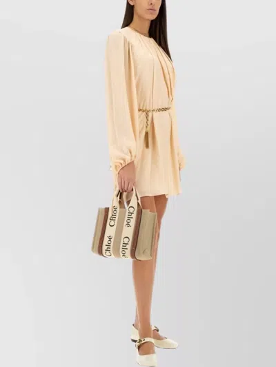 Chloé Mini Dress With Shirred Design And Sleeves In Neutral