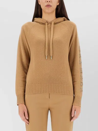 Max Mara Hooded Sweatshirt With Drawstring And Embellished Sleeves In Brown