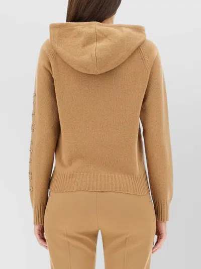 Max Mara Hooded Sweatshirt With Drawstring And Embellished Sleeves In Brown