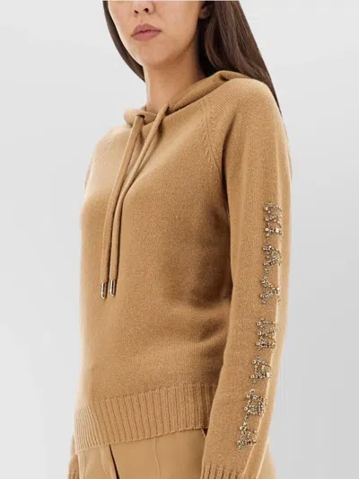 Max Mara Hooded Sweatshirt With Drawstring And Embellished Sleeves In Brown