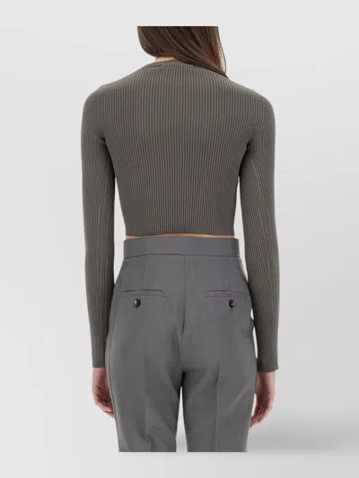 Max Mara Fitted Long Sleeve Cropped Knit Top In Gray