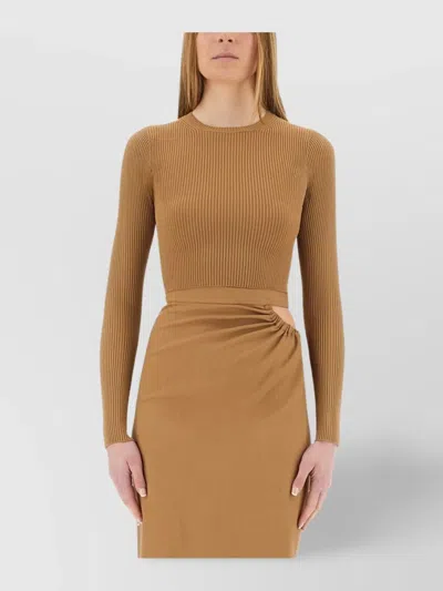 Max Mara Fitted Long Sleeve Crop Knit Top In Brown