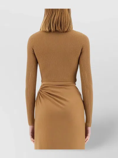 Max Mara Fitted Long Sleeve Crop Knit Top In Brown