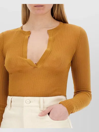 Max Mara Fitted Long Sleeve Knitwear V Neck In Brown