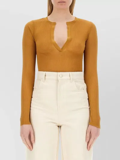 Max Mara Fitted Long Sleeve Knitwear V Neck In Brown