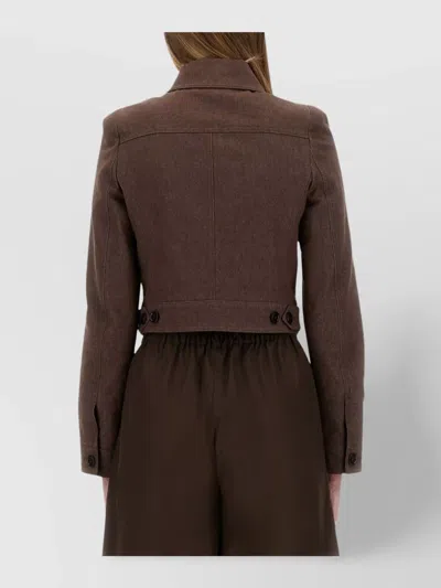 Max Mara "carp" Jacket Cotton In Brown