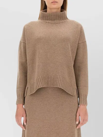 Max Mara Long Sleeve Turtleneck Knit Top In Brown