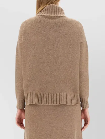 Max Mara Long Sleeve Turtleneck Knit Top In Brown