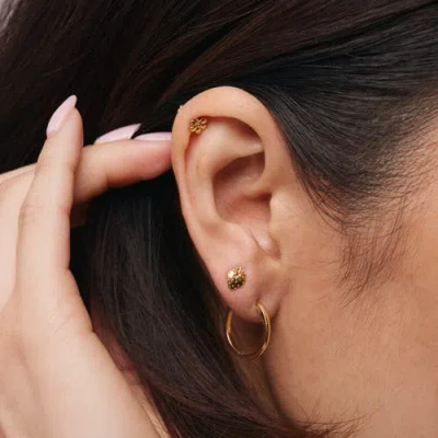 Whit Jewelry 14k Yellow Gold Strawberry Stud