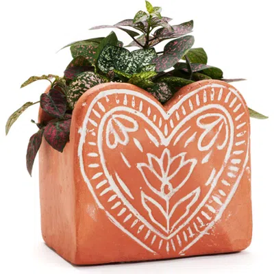 Matr Boomie Vasanta Heart Planter With Drainage In Brown