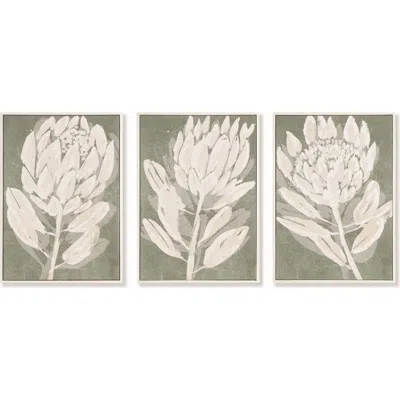 Napa Home & Garden Protea Triptych Hand-embellished Giclees Wall Art Set Of 3 In Green