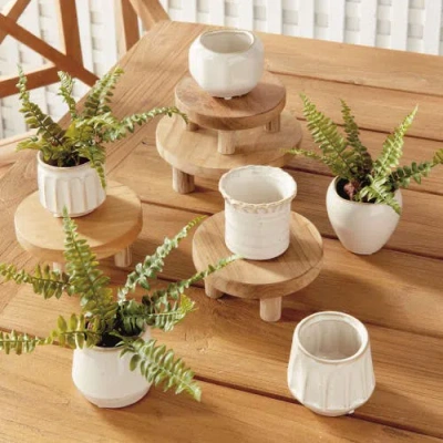Napa Home & Garden Dezie Mini Pots Set Of 6 In White