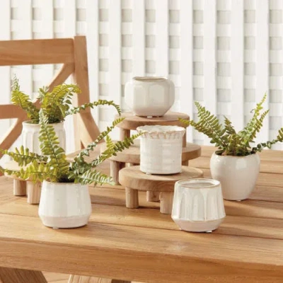 Napa Home & Garden Dezie Mini Pots Set Of 6 In White