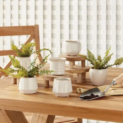 Napa Home & Garden Dezie Mini Pots Set Of 6 In White