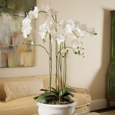 Napa Home & Garden 44in Phalaenopsis Drop-in In White