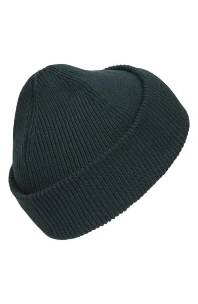 Agron Premium Cuff Fold Beanie In Green