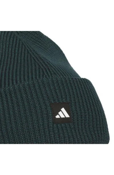 Agron Premium Cuff Fold Beanie In Green