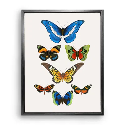 Emily Carter Tropical Butterflies Fine Art Print L In Multi