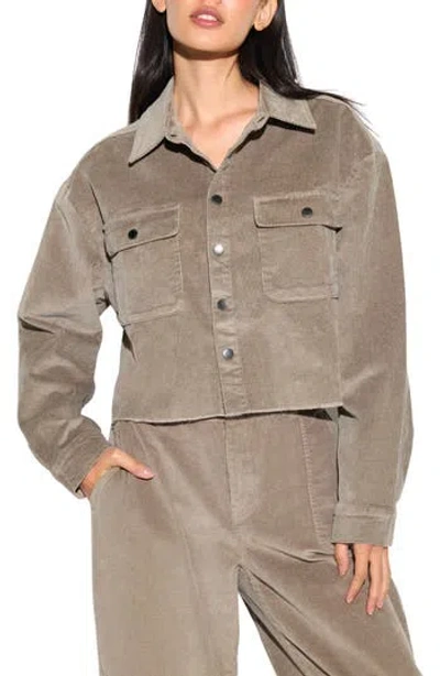 Spiritual Gangster Everly Crop Corduroy Shirt Jacket In Brown
