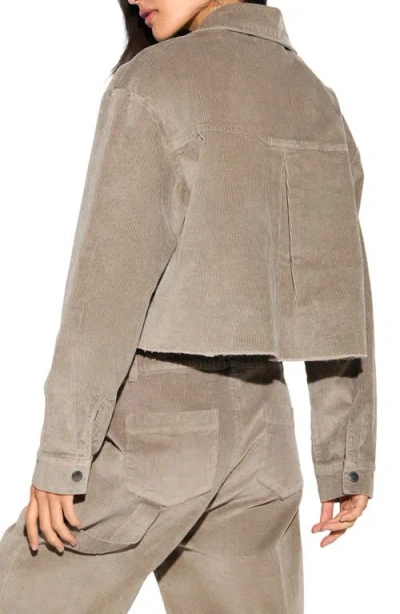 Spiritual Gangster Everly Crop Corduroy Shirt Jacket In Brown