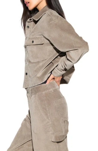 Spiritual Gangster Everly Crop Corduroy Shirt Jacket In Brown