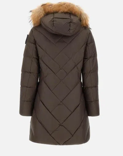 Blauer Usa Coats In Brown