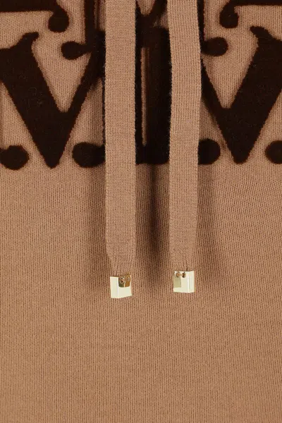 Max Mara Virgin Wool Hoodie In Brown