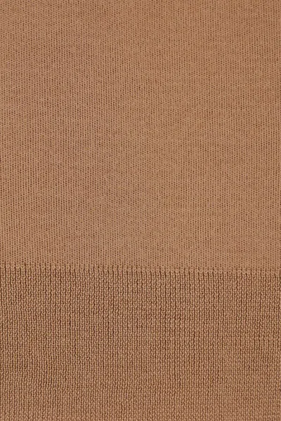 Max Mara Virgin Wool Hoodie In Brown