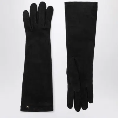 Max Mara Long Suede Nappa Gloves In Black