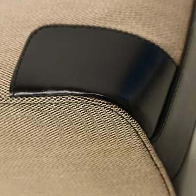 Pre-owned Gucci Beige Black Canvas Shoulder Bag () In Multi