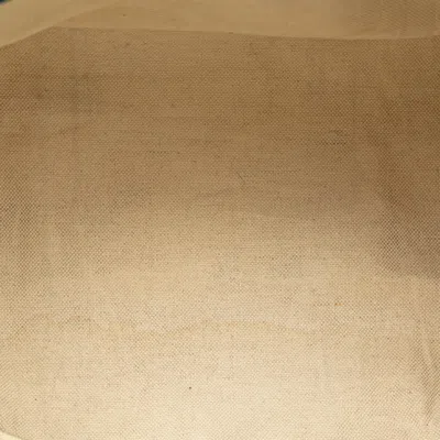 Pre-owned Gucci Gg Canvas Beige Blue Canvas Leather Boston Bag Shoulder Bag ()