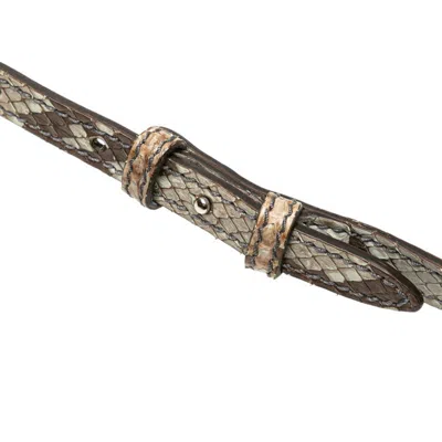 Pre-owned Gucci New Jackie Blue Brown Shoulder Bag () In Multi