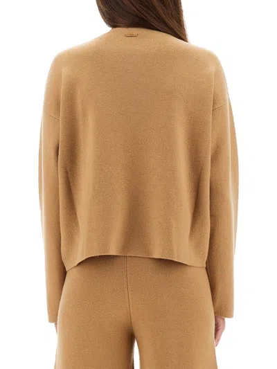 Max Mara Jersey Zibello In Gold
