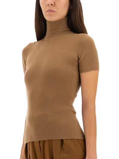 Max Mara Camel Wool Turtleneck In Brown